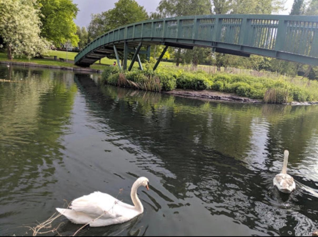 Beddington Park Lodge West Wallington Zewnętrze zdjęcie